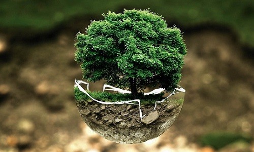 immagine Giornata mondiale della Terra: il 39 per cento delle imprese assume personale con competenze green 